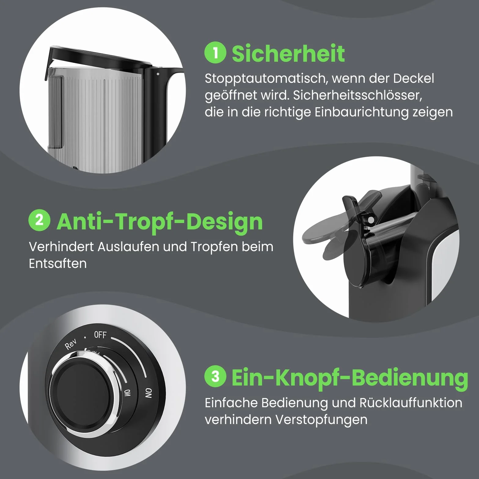 HOMELUX Sokowirówka 220 W Slow Juicer 126 mm otwór wlotowy do całych warzyw i owoców
