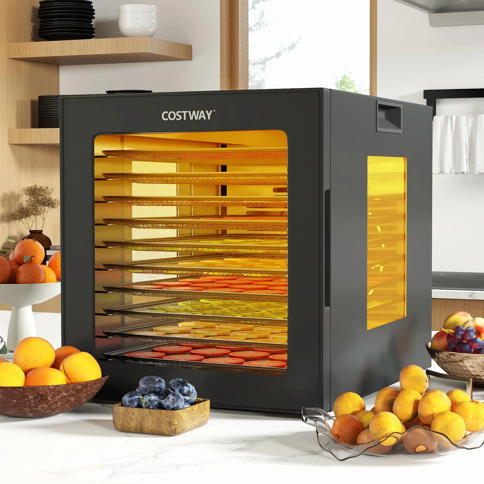 COSTWAY Suszarka 850 W, w zestawie 10 misek ze stali nierdzewnej, urządzenie do suszenia z 10 wstępnie ustawionymi programami, timer 48 h i temperatura 30-75°C, suszarka do żywności do owoców, warzyw