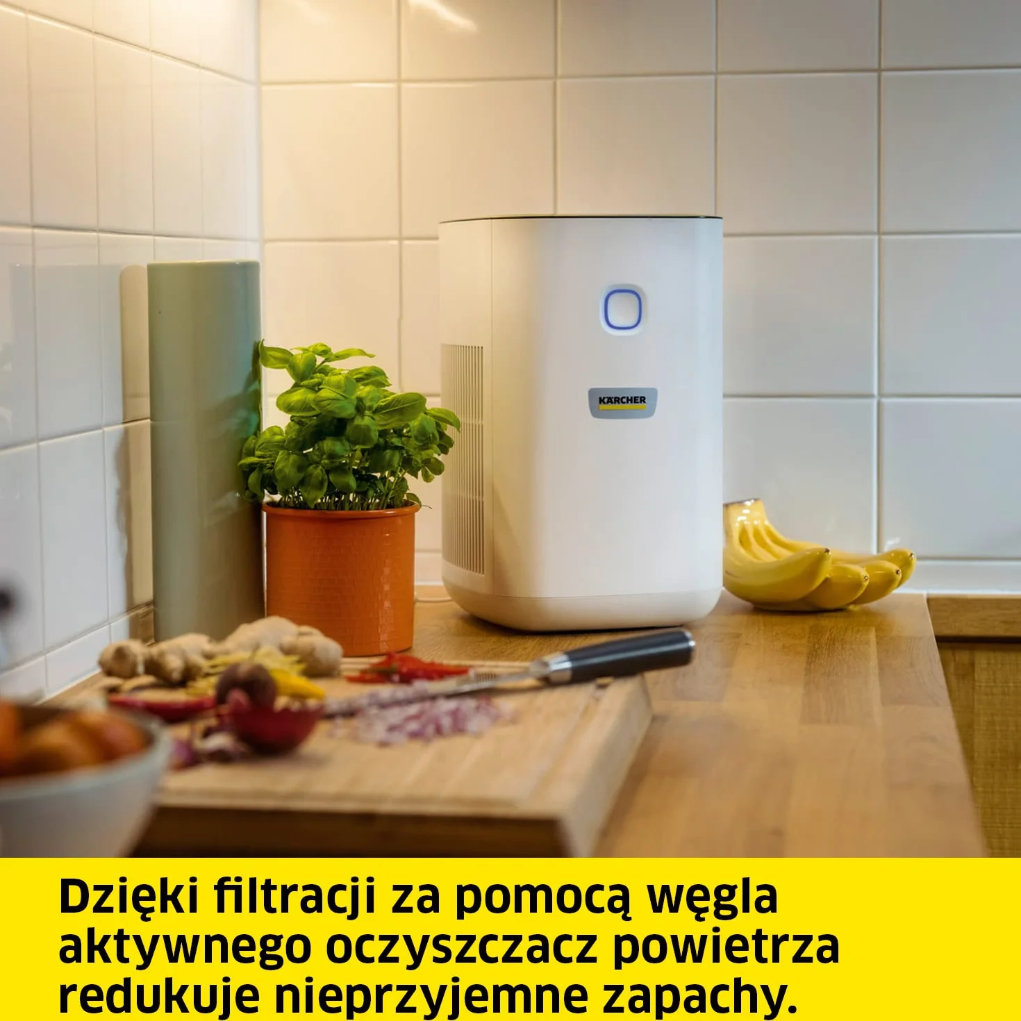Kärcher Oczyszczacz Powietrza AF 20, 220 m³/h, 20 m², 99.95% Cząsteczek do 0.3 μm