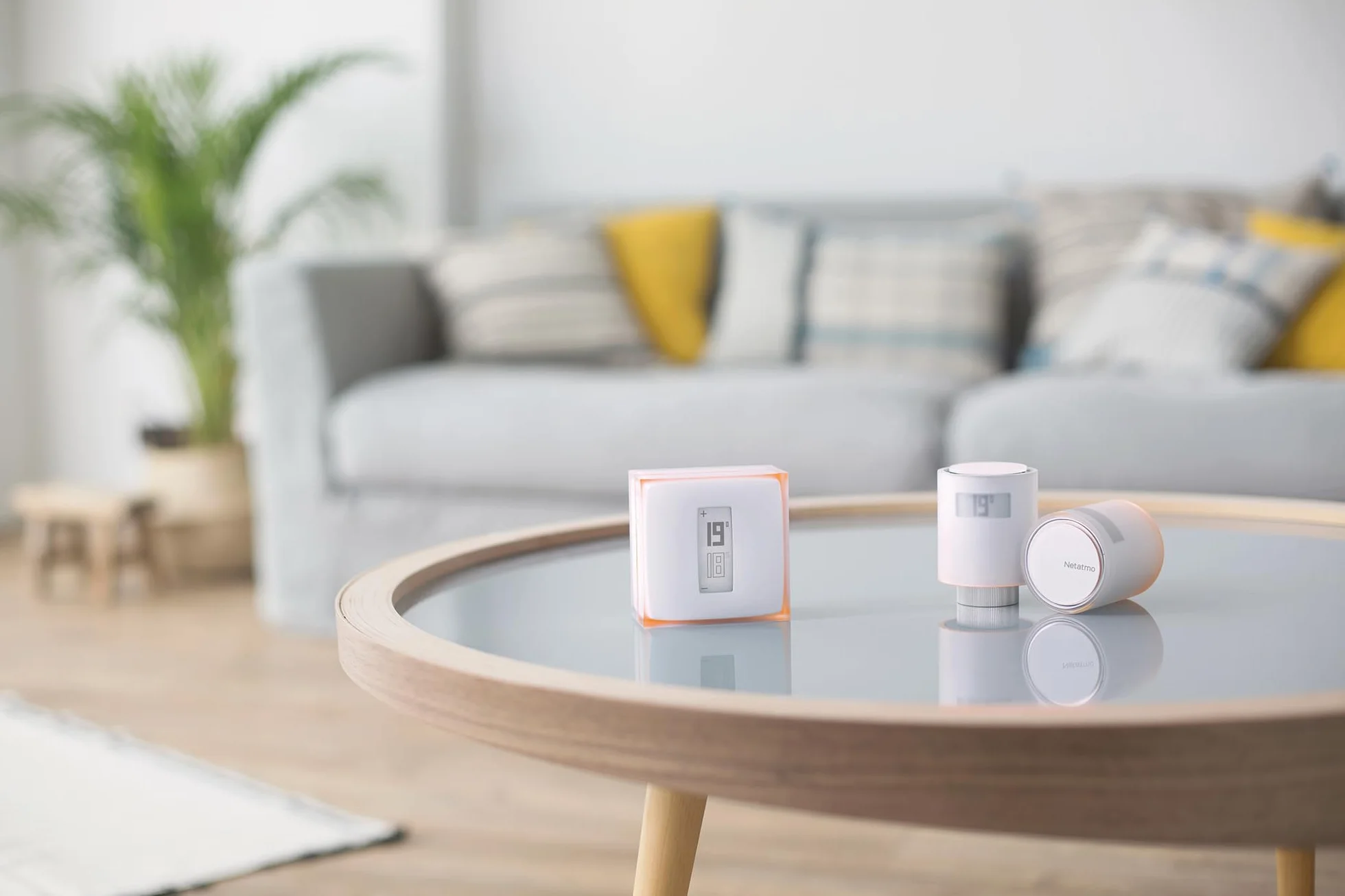Inteligentny termostat Netatmo + 3 inteligentne głowice termostatyczne, WiFi, zdalne sterowanie za pośrednictwem aplikacji, kompatybilne z indywidualnym ogrzewaniem, NBU-NTH-Nav-EU.