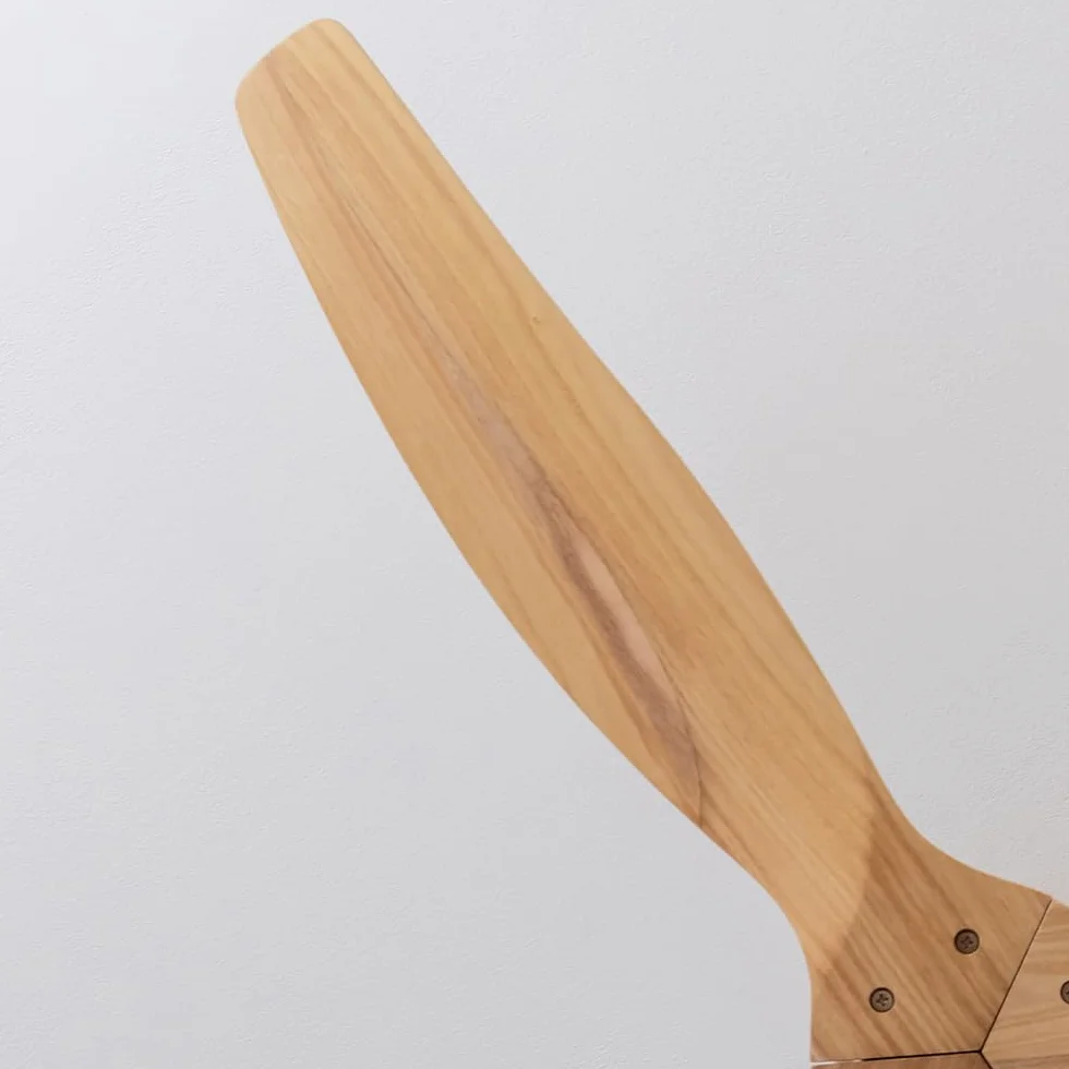 Cecotec - Wentylator sufitowy EnergySilence Aero 5270 WhiteWood - Silnik 40W DC, Średnica 132 cm, Sterowanie, Timer, 6 prędkości, Lato i zima, Regulacja wysokości 15 lub 25 cm, Cichy
