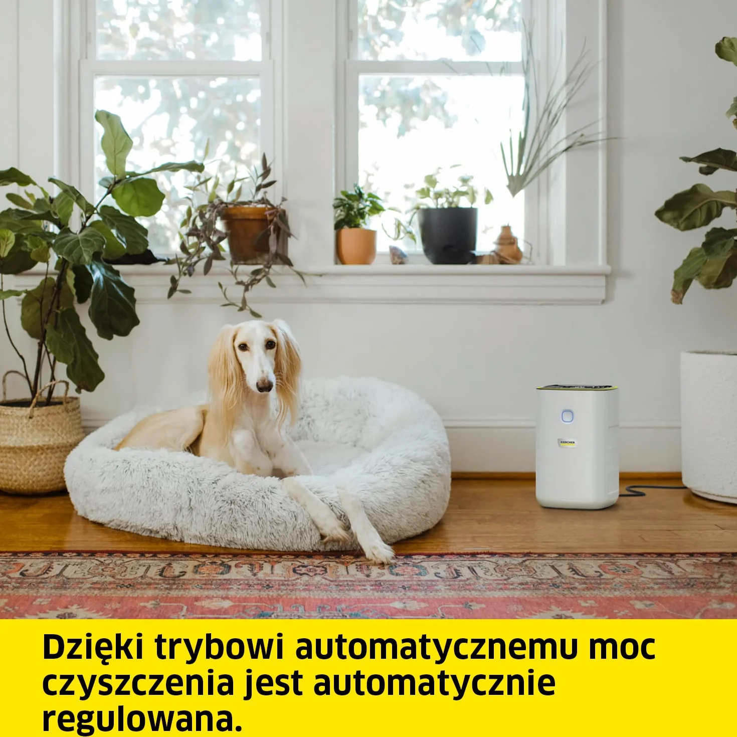 Kärcher Oczyszczacz Powietrza AF 20, 220 m³/h, 20 m², 99.95% Cząsteczek do 0.3 μm